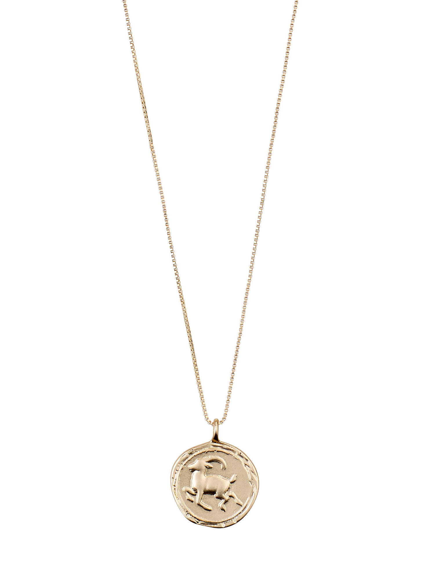 Accessori Donna Pilgrim Collana Capricorn Zodiac Sign in Oro 