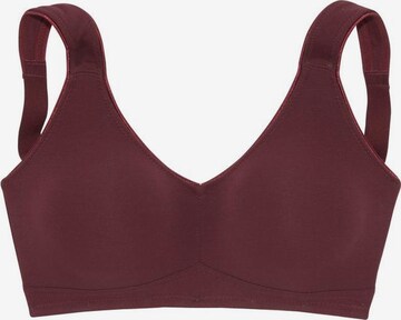 PETITE FLEUR - Regular Soutien em vermelho