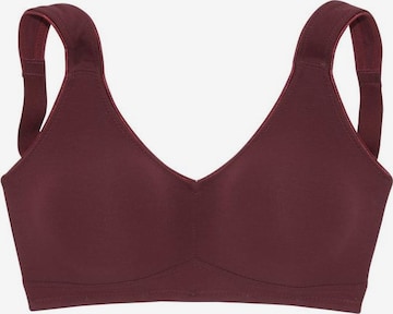 regular Reggiseno di PETITE FLEUR in rosso