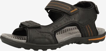 GEOX Wandelsandalen 'U Tevere' in Zwart: voorkant