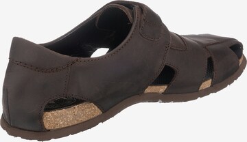 PANAMA JACK Sandalen in Bruin