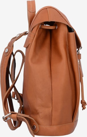 Harold's Backpack 'Heritage City' in Brown