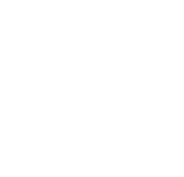 NEW ERA Logo