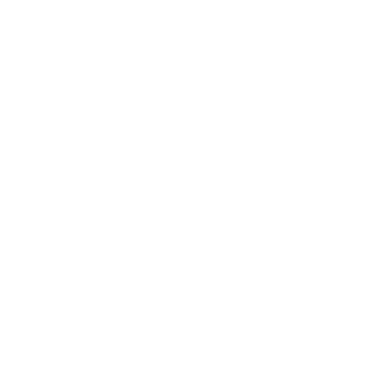 Floris van Bommel Logo