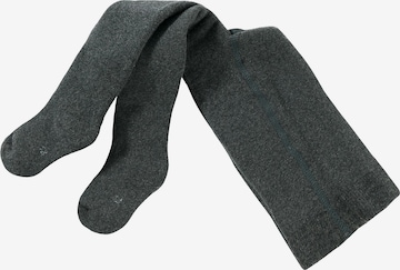 Collant di EWERS in grigio: frontale