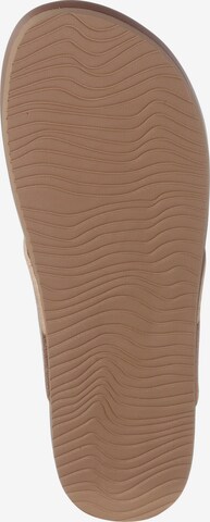 REEF T-Bar Sandals 'Cushion' in Gold