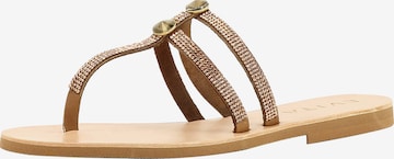 EVITA T-Bar Sandals in Brown: front