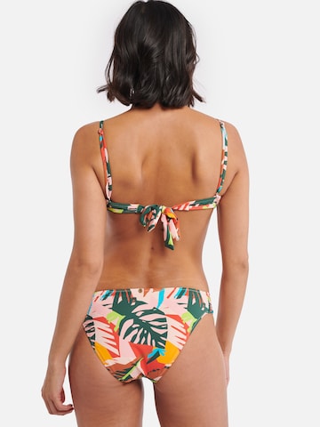 Shiwi - regular Braga de bikini 'Frangipani' en Mezcla de colores