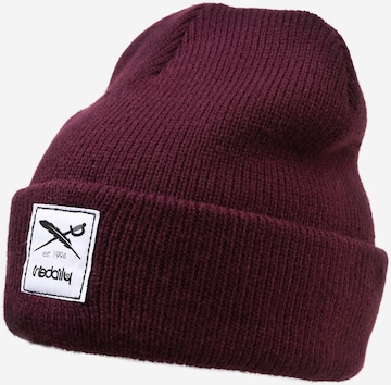 Iriedaily Beanie 'Smurpher Heavy' in Purple