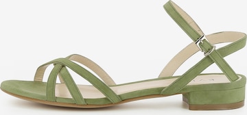 Sandales à lanières 'Salvina' EVITA en vert