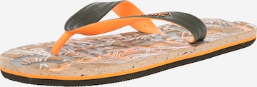 Superdry Teenslippers in Groen: voorkant