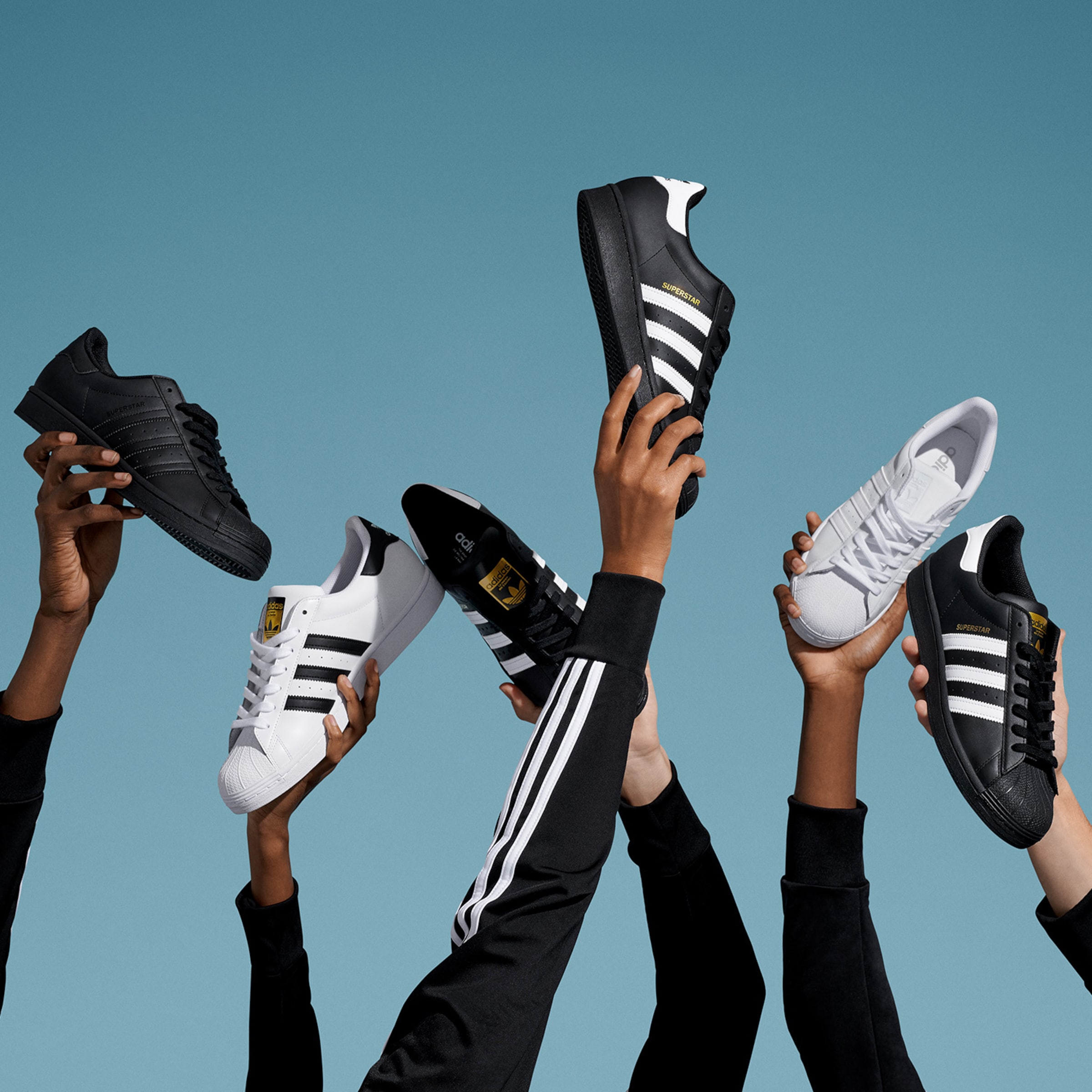 gazelle heren purper