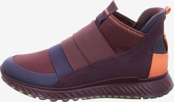 ECCO Sneaker in Lila