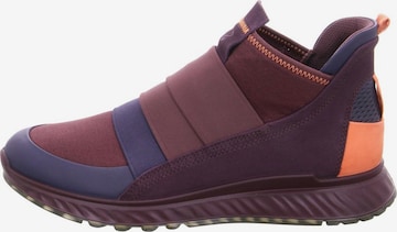 ECCO High-Top Sneakers in Purple
