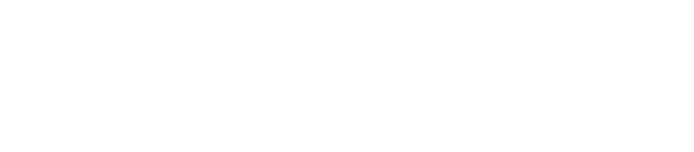 Basler Logo