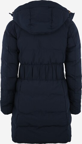 Manteau outdoor 'Ep Anoka' ICEPEAK en bleu : derrière