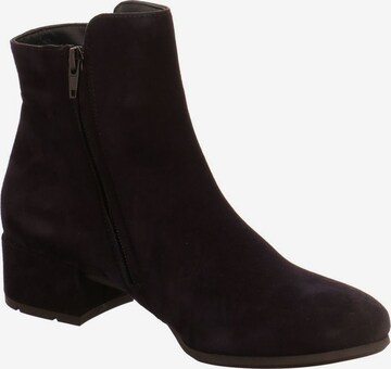 Paul Green Ankle Boots in Blue