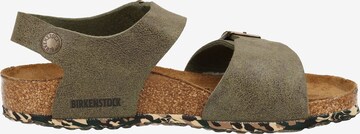 Sandales BIRKENSTOCK en vert