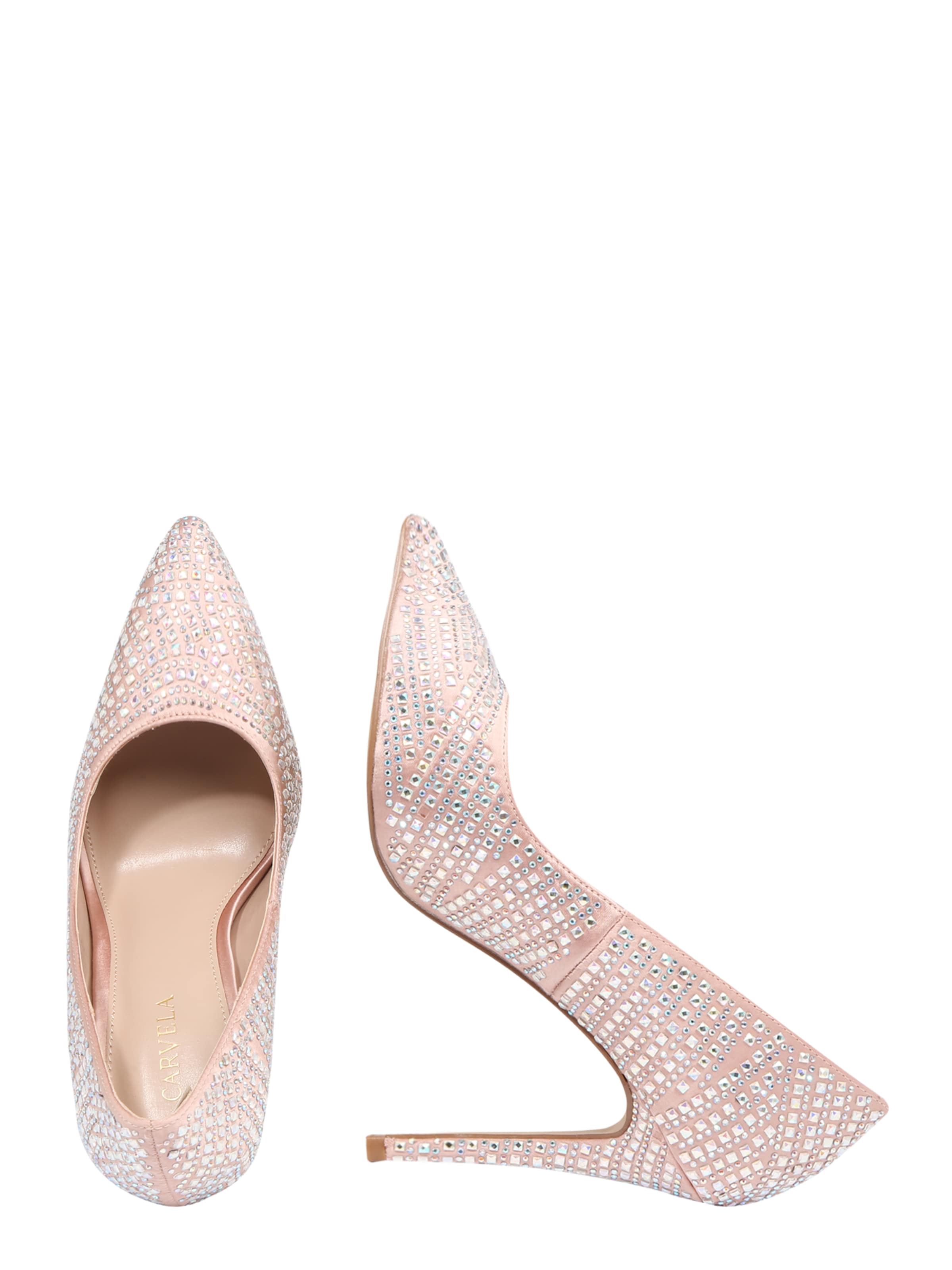 lovebird carvela