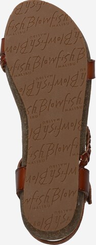 Blowfish Malibu Sandalen met riem 'GOYA' in Bruin