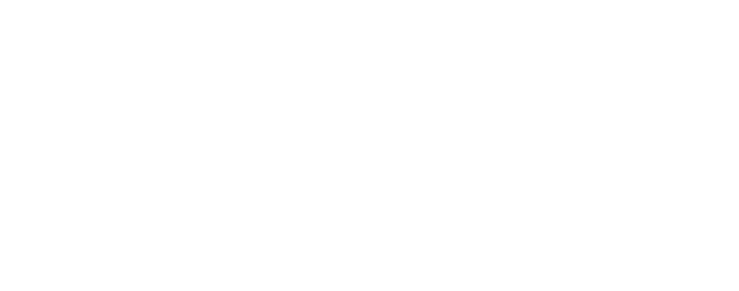 Basic Apparel Logo