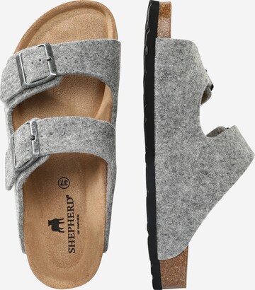 Mule 'Cassandra' SHEPHERD en gris