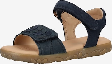 GEOX Sandalen in Blau: predná strana