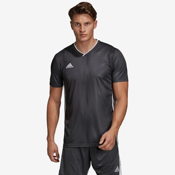 T-Shirt fonctionnel 'Tiro 19' ADIDAS SPORTSWEAR en gris : devant