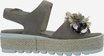 SEMLER Sandals in Grey