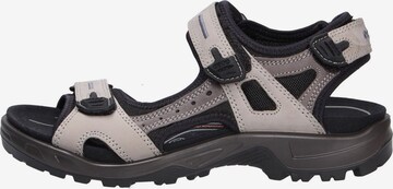 ECCO Hiking Sandals in Grey