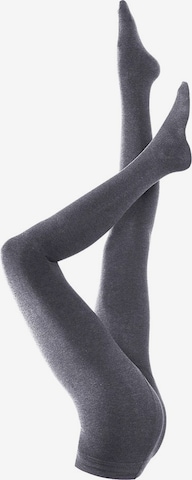 LAVANA Regularen Hlačne nogavice | siva barva: sprednja stran