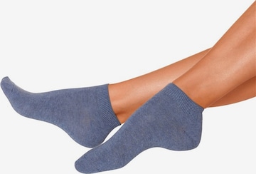 GO IN Ankle Socks in Blue