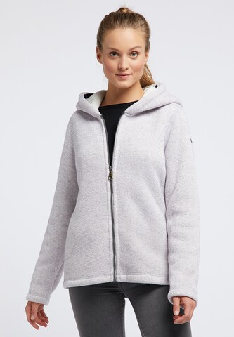 DREIMASTER Zip-Up Hoodie in Grey: front