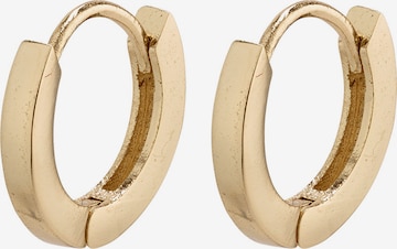Boucles d'oreilles 'Arnelle' Pilgrim en or : devant