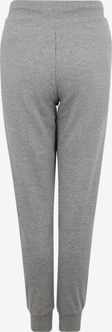 CHIEMSEE Tapered Sporthose in Grau: zadná strana