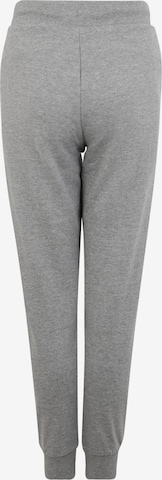 CHIEMSEE Zúžený Sportovní kalhoty – šedá: zadní strana