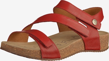 JOSEF SEIBEL Sandals 'Tonga' in Red: front