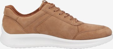 ECCO Sneaker in Beige