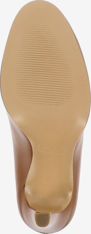 EVITA Pumps in Braun