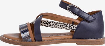 TAMARIS Sandalen met riem in Blauw