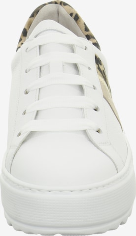 GABOR Sneakers in White