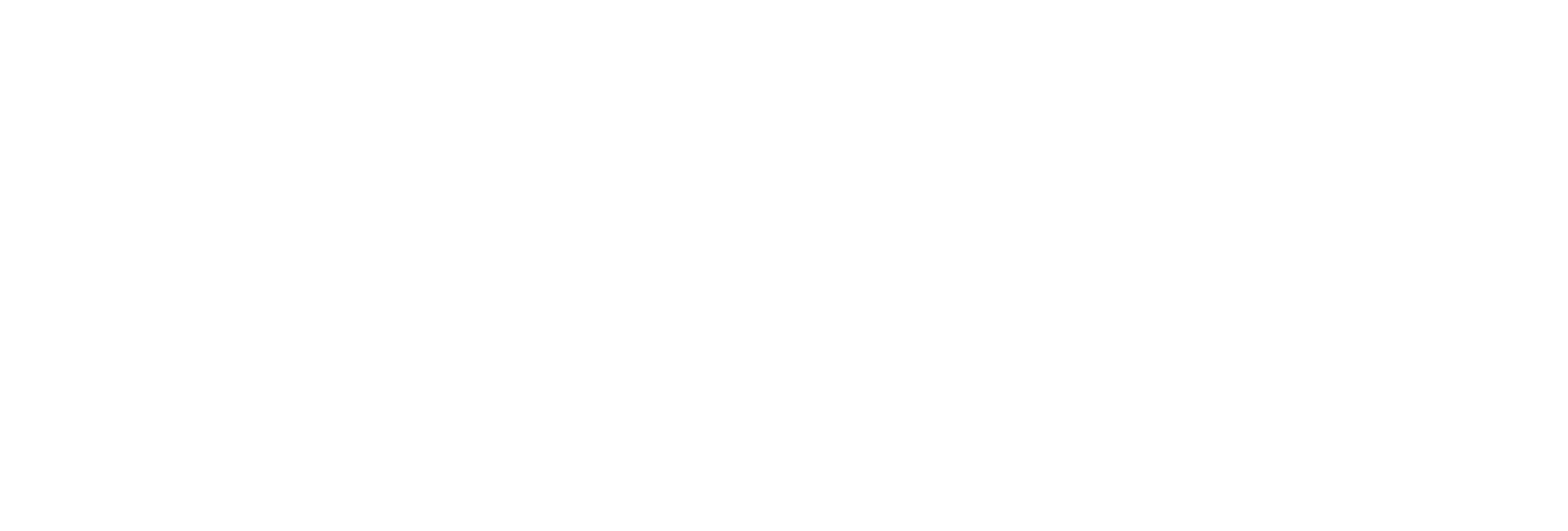 Envii Logo