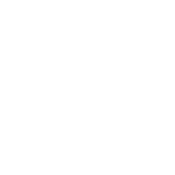 INTIMISSIMI Logo