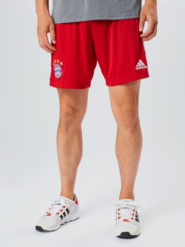 ADIDAS PERFORMANCE Regular Sports trousers 'FC Bayern München' in Red: front