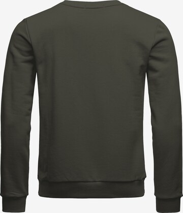 Redbridge Sweatshirt in Green