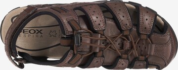 GEOX Hiking Sandals 'S. Strada' in Brown