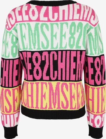 CHIEMSEE Sports sweater in Mixed colours: back