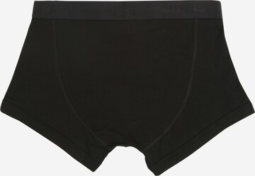 JOOP! Boxer shorts in Black: back