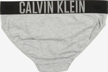 Calvin Klein Underwear Slip in Grau: zadná strana