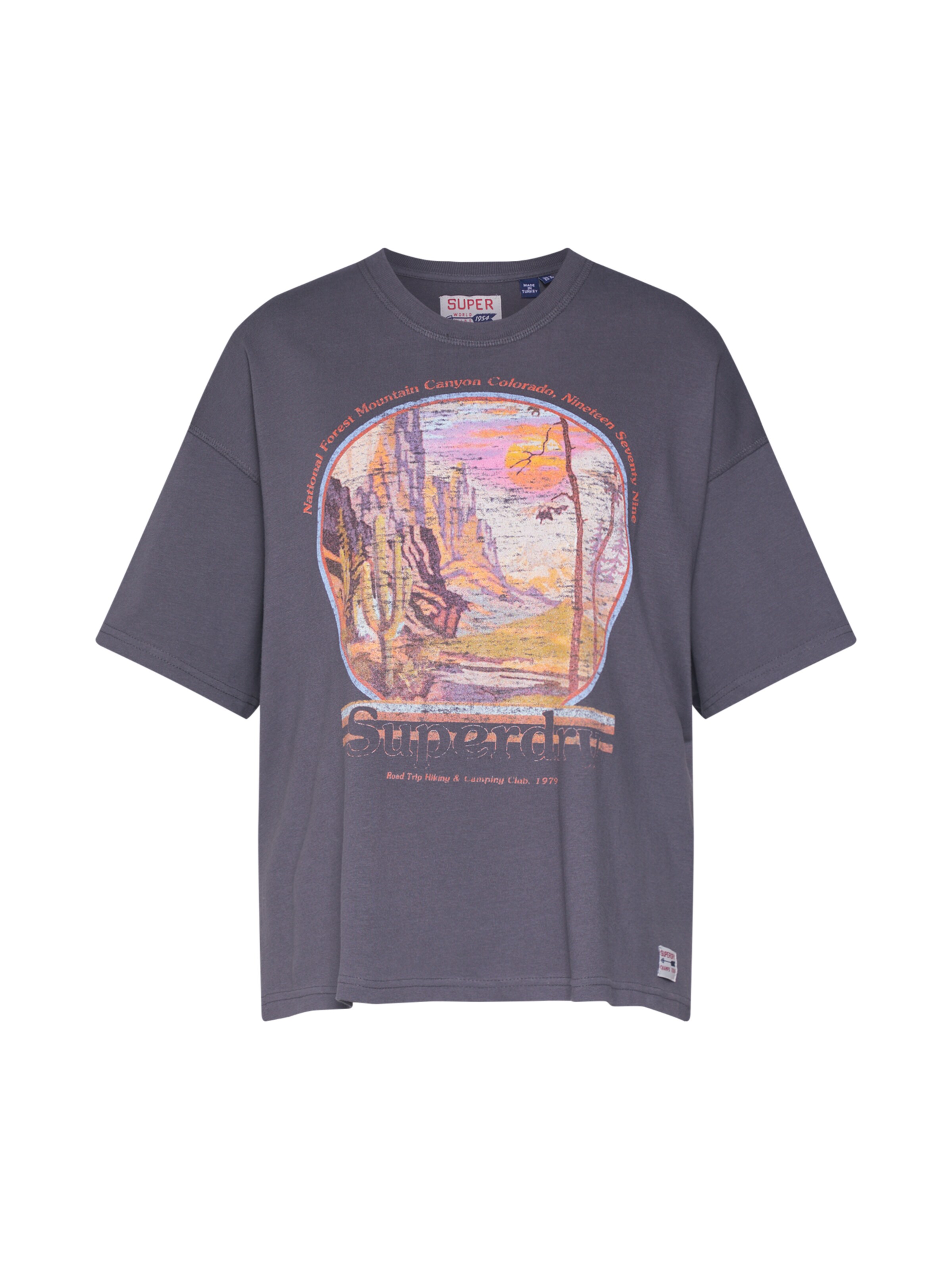 Superdry - Shirt 'BOYFRIEND BAND GRAPHIC TEE' in de kleur Donkergrijs